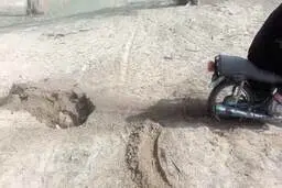 بازداشت جوان حیوان آزار در بوشهر + ویدئو