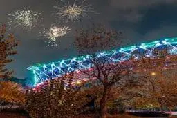  شب بیست و دوم بهمن پل طبیعت تهران به رنگ پرچم ایران درآمد
