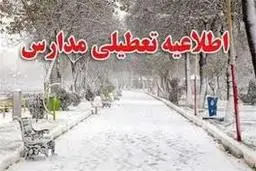 تعطیلی برخی مدارس کردستان درپی بارش برف