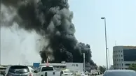 المیادین: انصارالله با ۲۰ پهپاد و ۱۰ موشک به امارات حمله کرد
