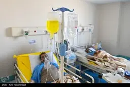 آخرین آمار از کرونا|مبتلایان به ویروس ۳۵۱۳ نفر و ۷۳۹ نفر بهبود یافته 