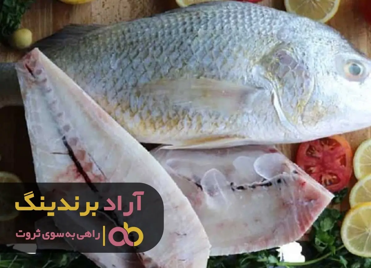 مرکز خرید ماهی سرخو در ایران