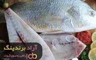 مرکز خرید ماهی سرخو در ایران
