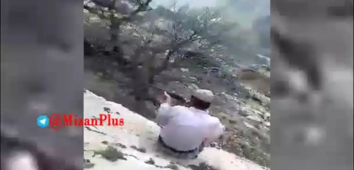 سوزاندن و کشتار دردناک یک پلنگ در کوه‌های سردشت + ویدئو