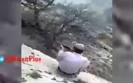 سوزاندن و کشتار دردناک یک پلنگ در کوه‌های سردشت + ویدئو