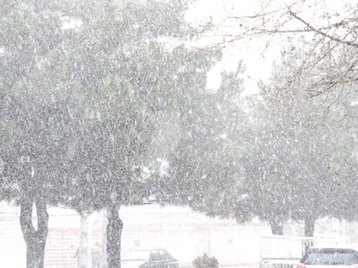 
بارش برف در ۱۳ استان
