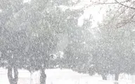 
بارش برف در ۱۳ استان
