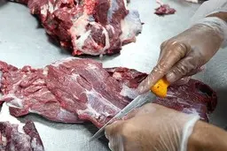 چرا گوشت گوسفند در قصابی‌ها کمیاب است؟