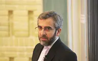 
علی باقری  |   طی چهار دهه گذشته، ۴۰ ایرانی دو تابعیتی  مجرم شناخته شده و مجازات شده‌اند
