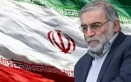 تشکیلات اسرائیل در ایران فعال است 