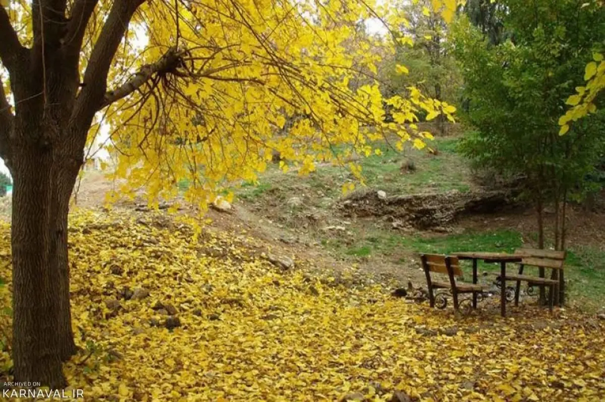 بهترین پارک های تهران برای گشت و گذار در هوای گرم | پایتخت نشینان برای رهایی از سر و صدا به کدام پارک هابروند ؟ 