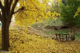 بهترین پارک های تهران برای گشت و گذار در هوای گرم | پایتخت نشینان برای رهایی از سر و صدا به کدام پارک هابروند ؟ 