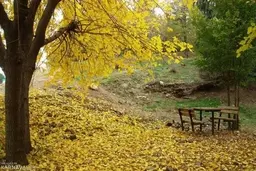 بهترین پارک های تهران برای گشت و گذار در هوای گرم | پایتخت نشینان برای رهایی از سر و صدا به کدام پارک هابروند ؟ 