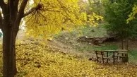 بهترین پارک های تهران برای گشت و گذار در هوای گرم | پایتخت نشینان برای رهایی از سر و صدا به کدام پارک هابروند ؟ 