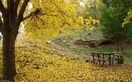 بهترین پارک های تهران برای گشت و گذار در هوای گرم | پایتخت نشینان برای رهایی از سر و صدا به کدام پارک هابروند ؟ 