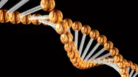 تحقیق جدید| تغییر ژنتیکی کوچکی در DNA، ‌انسان را بیشتر مستعد ابتلا به سرطان کرده است