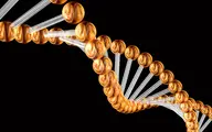 تحقیق جدید| تغییر ژنتیکی کوچکی در DNA، ‌انسان را بیشتر مستعد ابتلا به سرطان کرده است