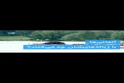  آلمانی ها با زباله هایشان چه می کنند؟ + ویدئو