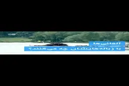  آلمانی ها با زباله هایشان چه می کنند؟ + ویدئو