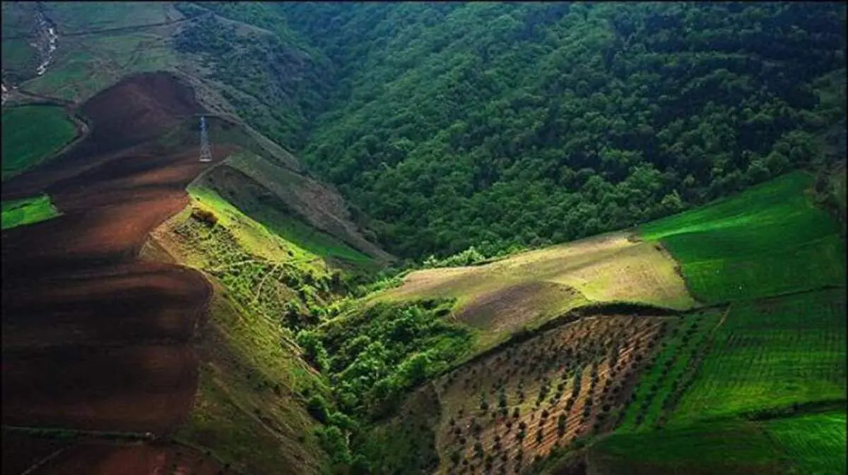 سازمان جنگل‌ها از رئیسی برای ورود به پرونده ۵۶۰۰ هکتاری جنگل‌های هیرکانی درخواست کرد