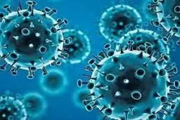 نسخه مقابله با ‎جهش امیکرون  +عکس