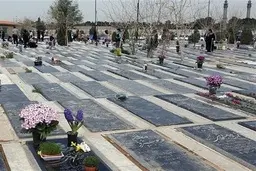  قیمت قبر میلیاردی شد | لطفا زنده بمانید 