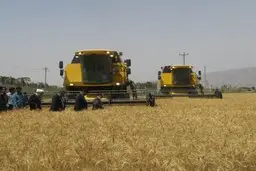 کاهش ۱۰ درصدی قیمت ماشین آلات کشاورزی در صورت حذف دخالت دولت در توزیع