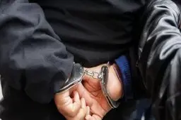 دستگیری یک باند سرقت در نقش نظافتچی