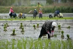 چالش‌های کسب‌وکارهای روستایی در دوران کرونا
