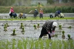 چالش‌های کسب‌وکارهای روستایی در دوران کرونا
