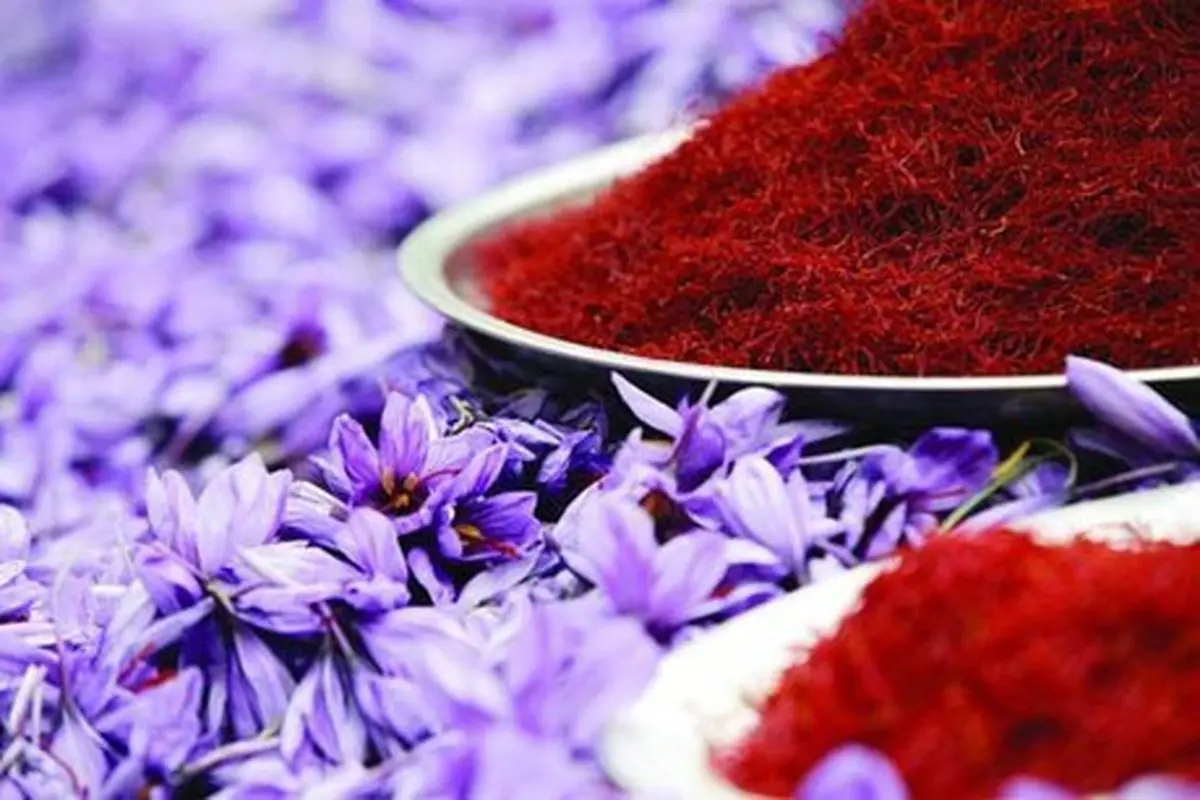  صادرات زعفران ایرانی به ۶۰کشور دنیا