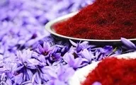  صادرات زعفران ایرانی به ۶۰کشور دنیا
