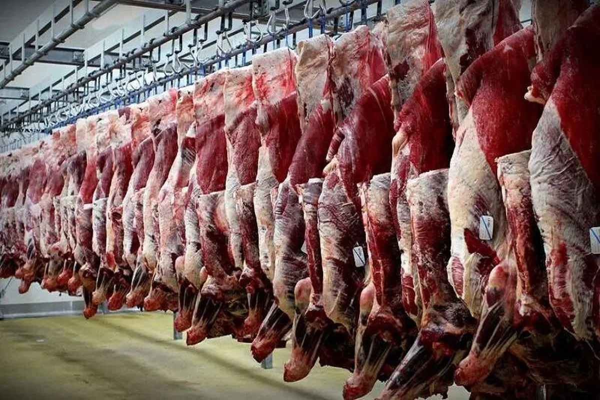 سالانه ۱۶۰ هزار تن گوشت قرمز در استان تهران مصرف می‌شود