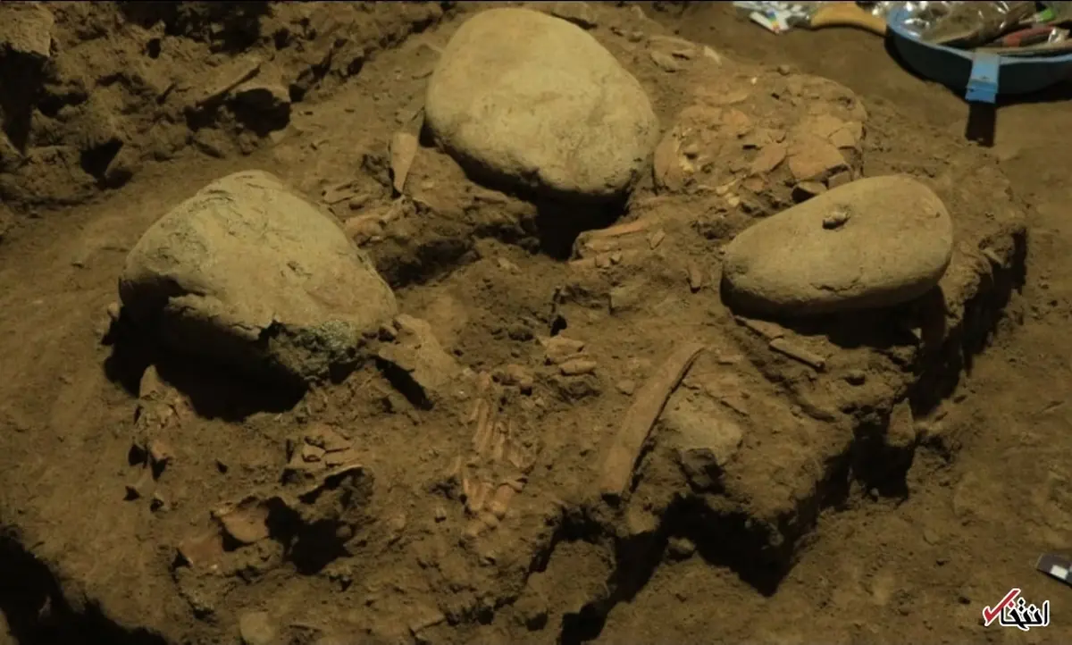  فسیل  سالم یک زن که ۷۲۰۰ سال پیش زندگی می‌کرد کشف شد
