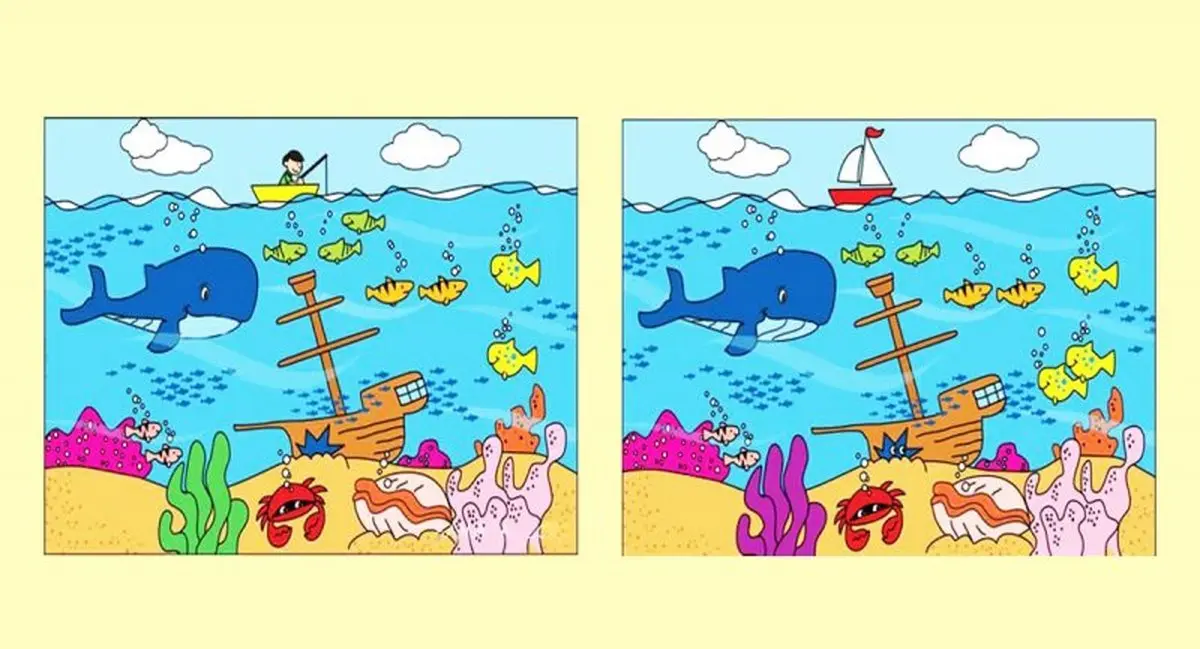 7 اختلاف میان این دو تصویر دریایی وجود دارد! پیدا کنید؟ + جواب