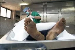 پیدا شدن جسد در دانشگاه علوم تحقیقات! | ۳۰ روز از مرگ مرد ناشناس گذشته است
