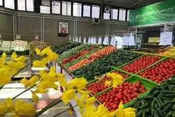 حذف واسطه‌های غیرضرور با اصلاح زنجیره تأمین در میادین میوه و تره بار