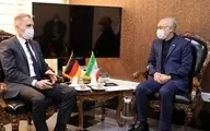 دیدار سفیر آلمان در تهران با صالحی