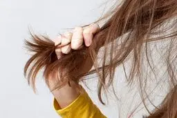 با این روش از شر موخوره خلاص شوید! 