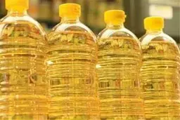 قاچاق روغن های ایرانی به کشور‌های همسایه+ویدیو