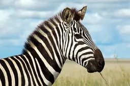 آخرین وضعیت مرکز نگهداری حیات وحش صفادشت