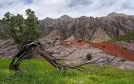 مهراب کوه ثبت ملی شد 