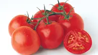 با این روش به راحتی رب گوجه فرنگی خانگی درست کنید | بی دردسر و توی کمترین زمان رب گوجه فرنگی خوشرنگ خانگی درست کن 