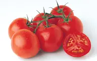 با این روش به راحتی رب گوجه فرنگی خانگی درست کنید | بی دردسر و توی کمترین زمان رب گوجه فرنگی خوشرنگ خانگی درست کن 