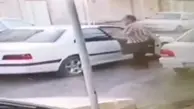 سرقت دوچرخه دو کودک‌ در دزفول خوزستان + ویدئو