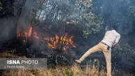  علت حدود ۹۵ درصد آتش سوزی‌ در جنگل‌های کشور عامل انسانی بوده است. 