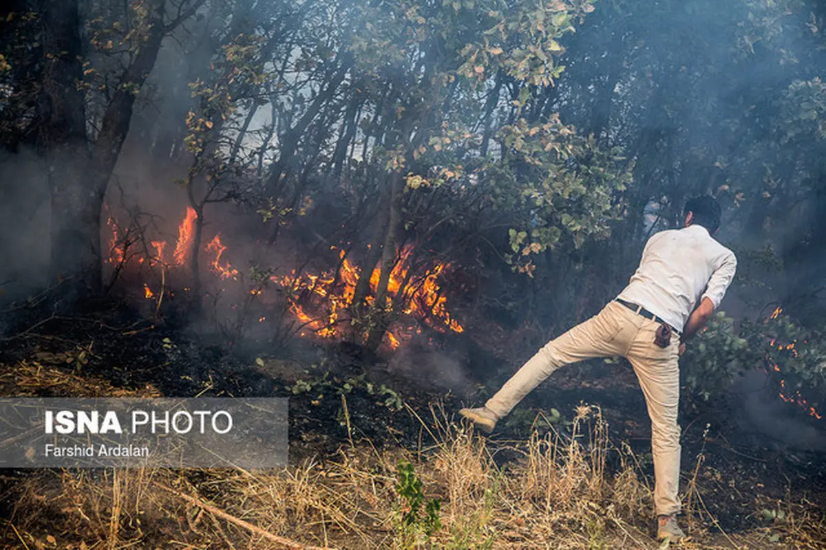  علت حدود ۹۵ درصد آتش سوزی‌ در جنگل‌های کشور عامل انسانی بوده است. 