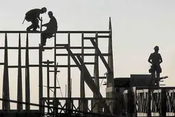 اسکن مسکن در ماه کرونا 