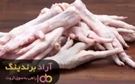 ابسار زندگی ام را به حوزه پای مرغ سپردم