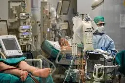 شمار مبتلایان به کرونا در جهان از مرز نیم میلیون نفر گذشت